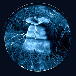 Icon for The Market Looks Good… and So Does My Purse