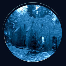 Icon for Remnants of the Past