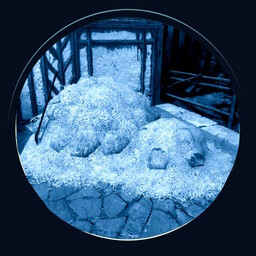 Icon for Who Moved the Hay Bale?