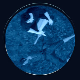 Icon for It’s Just a Bad Cold