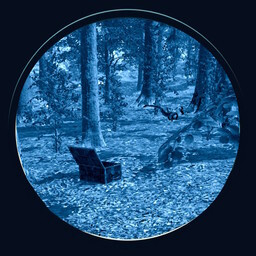 Icon for Probably Just Luck