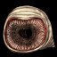 Sandworm