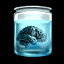 Icon for Brain in the Jar