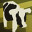 Lost on Cow Island Demo icon