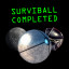 Surviball Completed