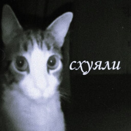 Icon for СХ*ЯЛИ?