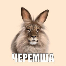 Icon for ЧЕРЕМША