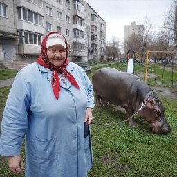 Icon for БЕГЕМОТ БУЛЬКА