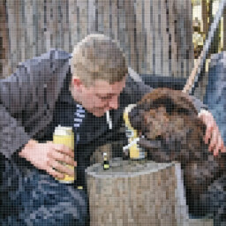 Icon for Сидим с бобром за столом