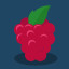 Binary Dash Raspberry