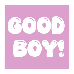 Icon for Good Boy!