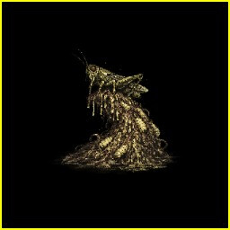 Icon for JUMPING WORMS OUTGROWTH