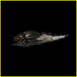 Icon for Bug Runner