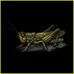 Icon for Bug Catcher