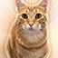 Icon for Pet Silly Linguine Cat ONE MILLION times
