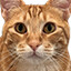 Icon for Pet Silly Linguine Cat 300,000 times
