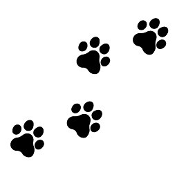 Icon for Sprint
