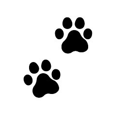 Icon for First steps
