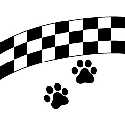 Icon for Marathon