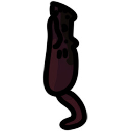 Dragar achievement icon for 100 Dragon Cats