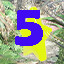Icon for Find star 5