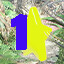 Icon for Find star 1