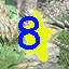 Icon for Find star 8
