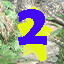 Icon for Find star 2