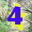 Icon for Find star 4
