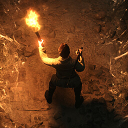 Icon for The Dire Shore