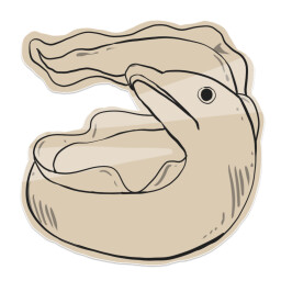 Icon for Extreme Challenge IX