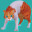 Cat Screen icon