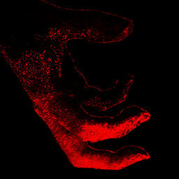 Nightmare Mode