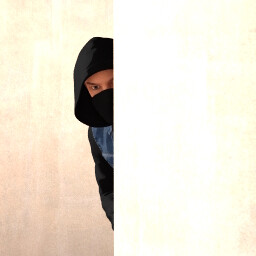 Icon for Wrong Criminal