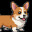 Corgi Survivor icon