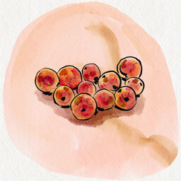 What happened to the pearls? achievement icon for The Red Pearls Of Borneo