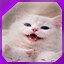 Icon for level 17
