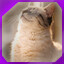 Icon for level 12