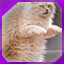Icon for level 30