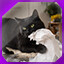 Icon for level 8