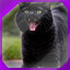 Icon for level 31