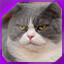 Icon for level 23