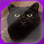 Icon for level 19