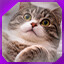 Icon for level 34