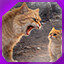 Icon for level 39