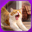Icon for level 7