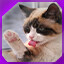 Icon for level 16
