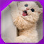 Icon for level 5