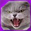 Icon for level 13