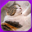 Icon for level 33